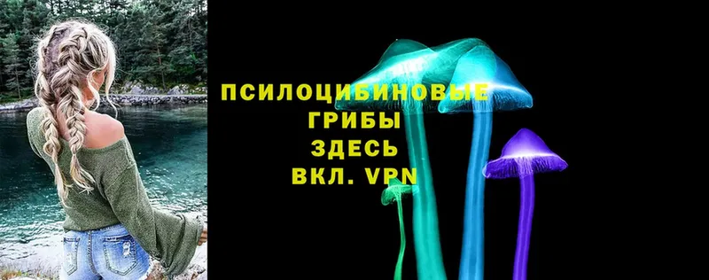 OMG вход  Барабинск  Галлюциногенные грибы Psilocybe  как найти наркотики 